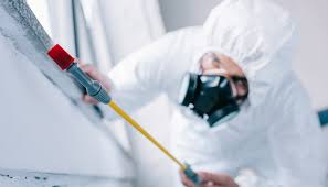 Emergency Pest Control Services in Los Ranchos, CA